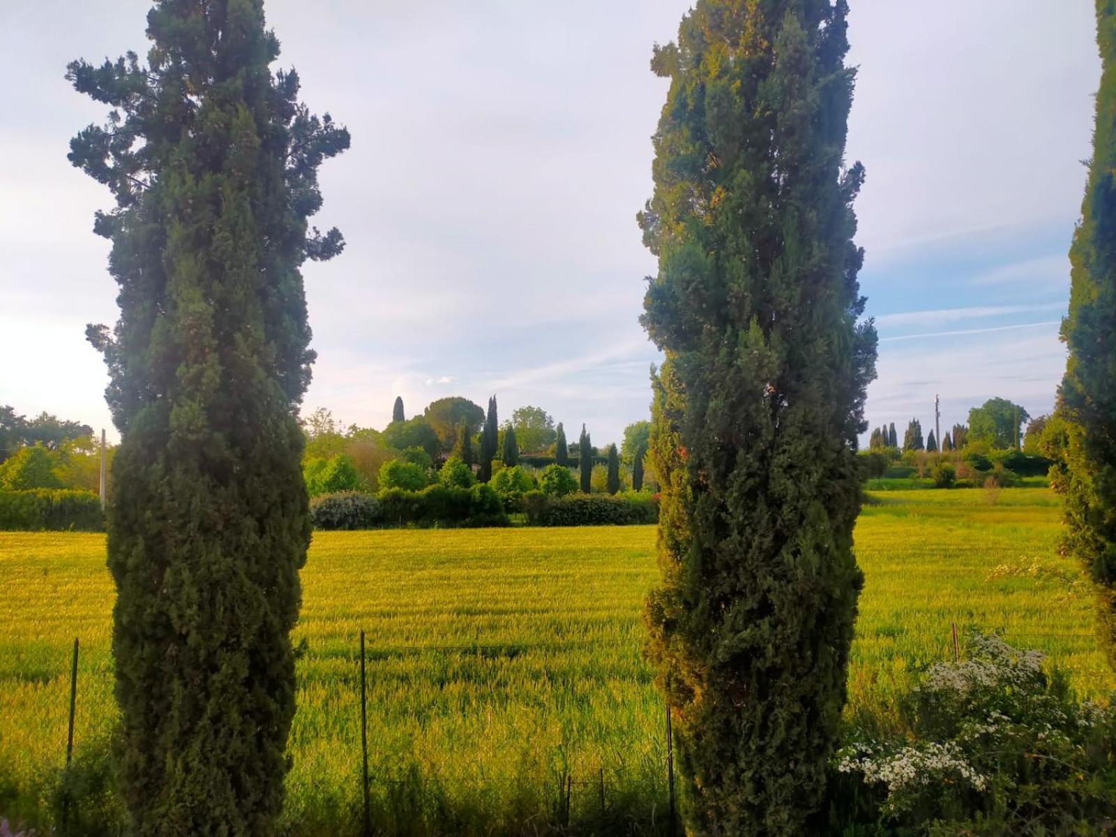 Villetta Con Parco Vicino San Gimignano Colle Val D'Elsa Zewnętrze zdjęcie